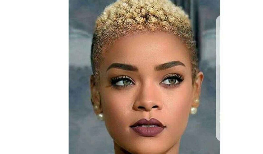 Fade Short Natural Haircuts for Black Females 2019