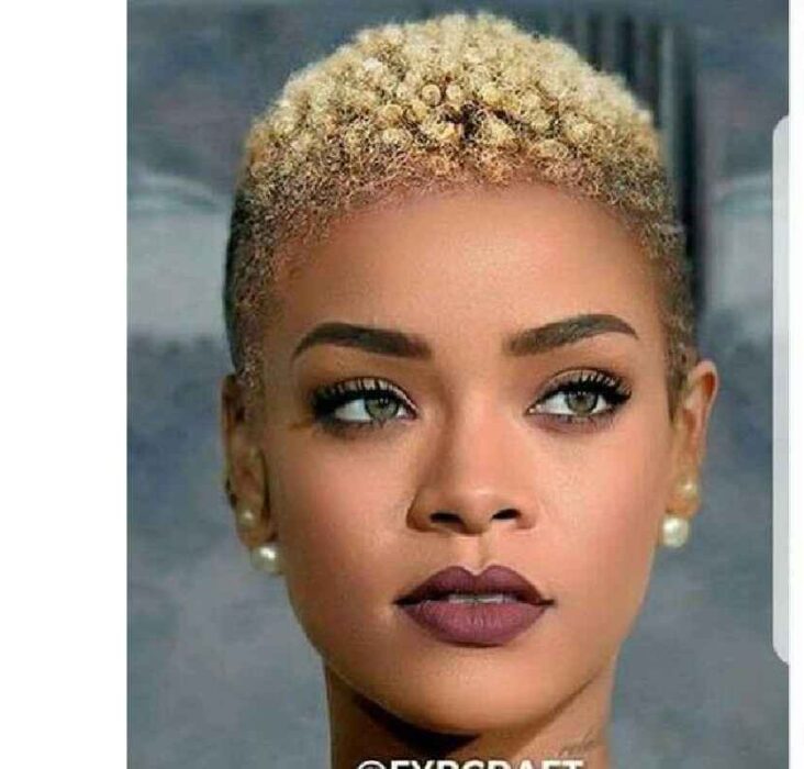 Fade Short Natural Haircuts for Black Females 2019