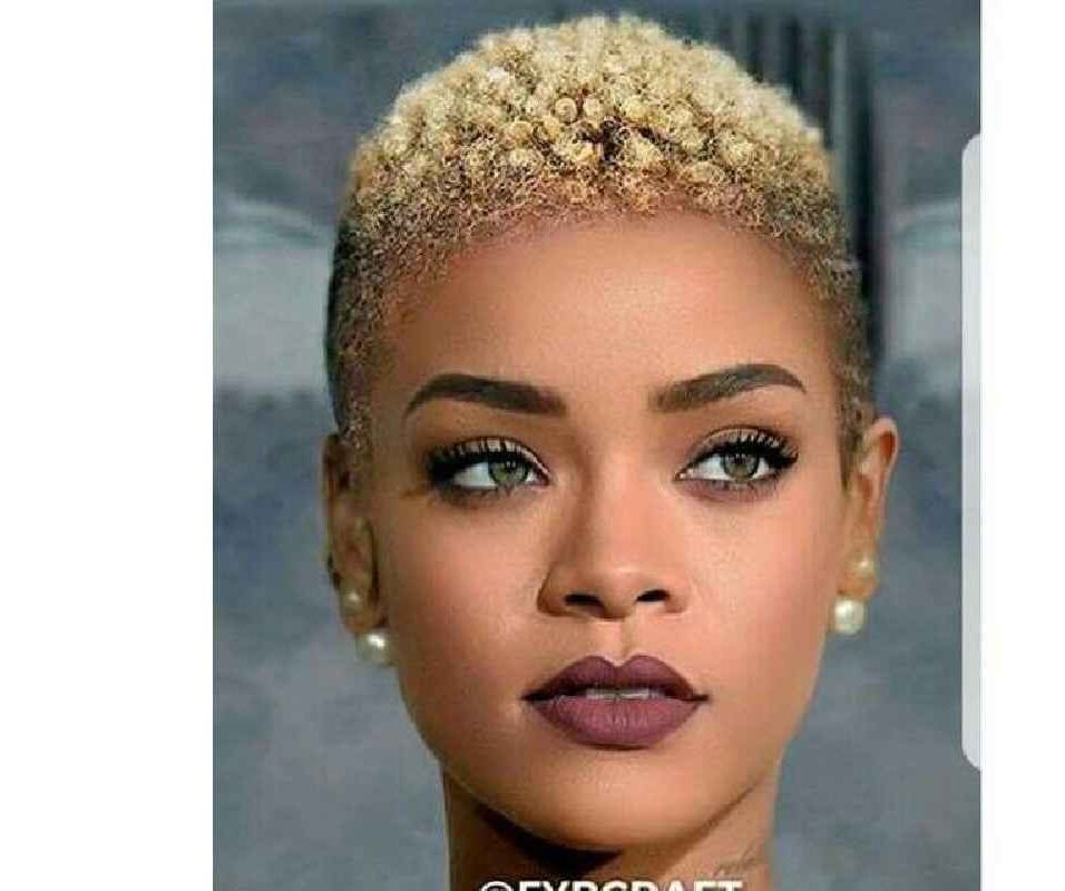 Fade Short Natural Haircuts for Black Females 2019