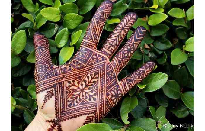 Mehndi Designs Front Hand Simple Photos (5)